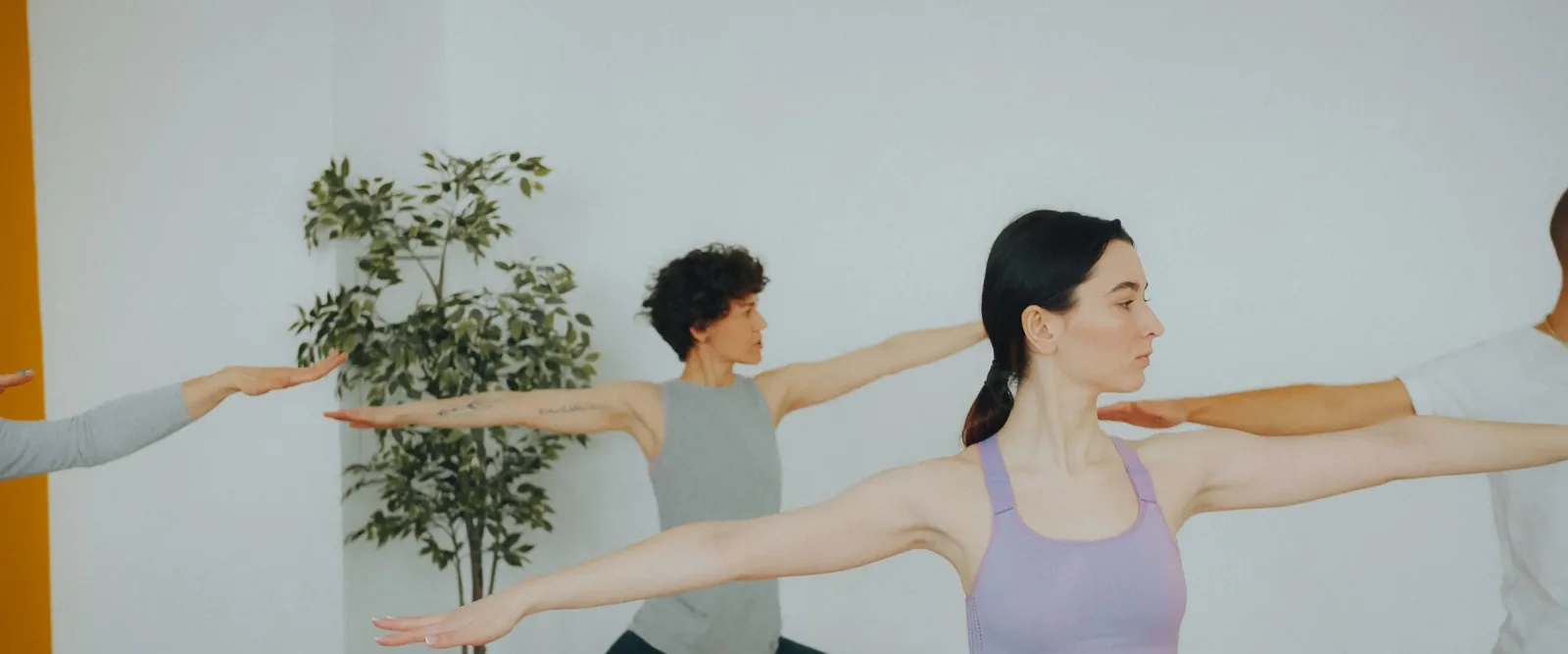 Wola Yoga Loft